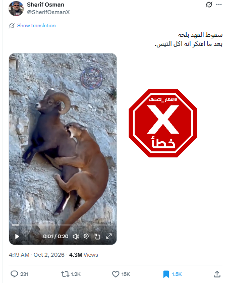 لقطة من الفيديو المتناقل بالمزاعم الخاطئة (اكس)