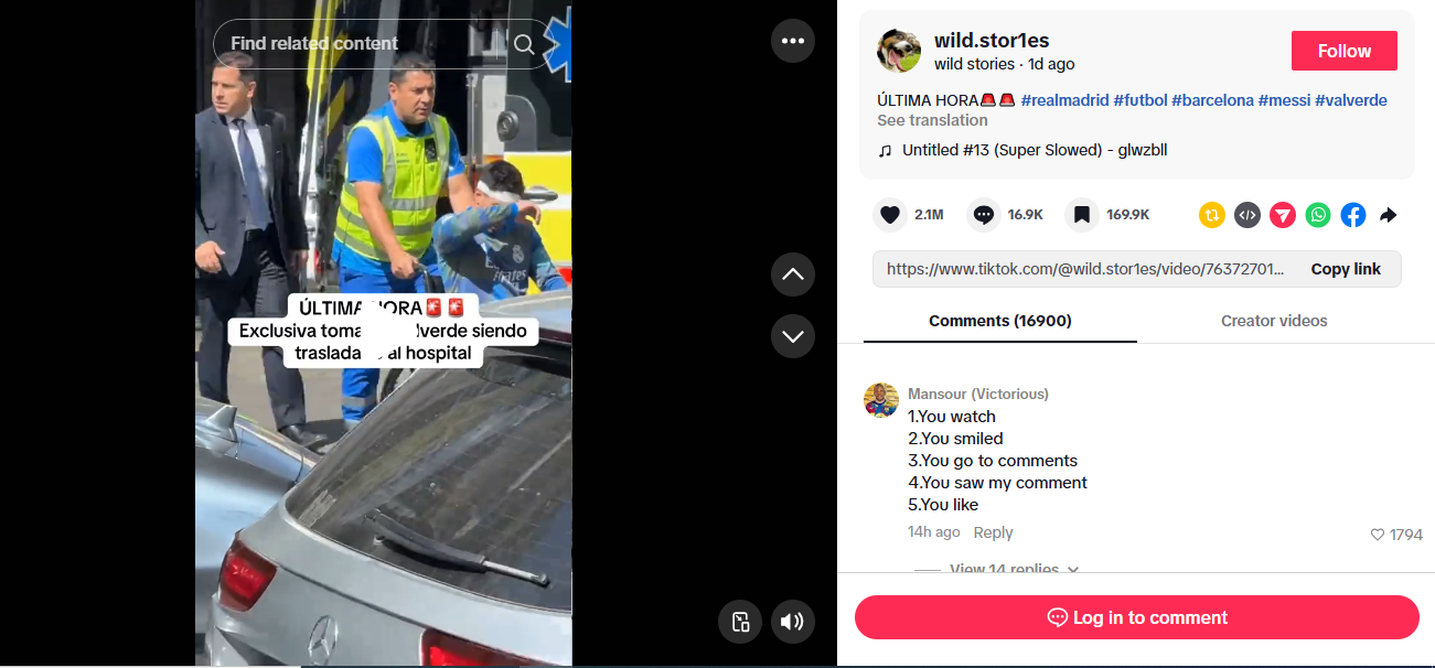 لقطة من الفيديو المنشور في حساب wild.stor1es@ في تيك توك، في 7 ايار 2026