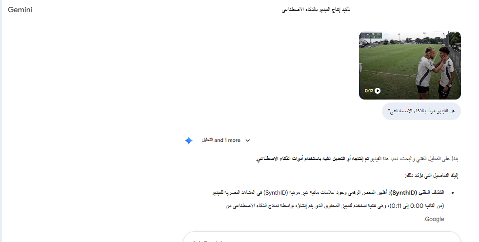 تحليل Gemini للفيديو