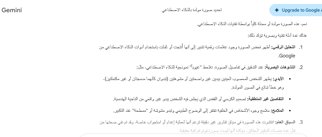 تحليل Gemini للصورة