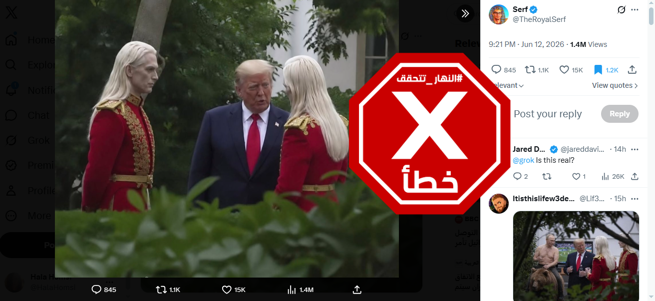 الصورة المتناقلة بالمزاعم الخاطئة (اكس)