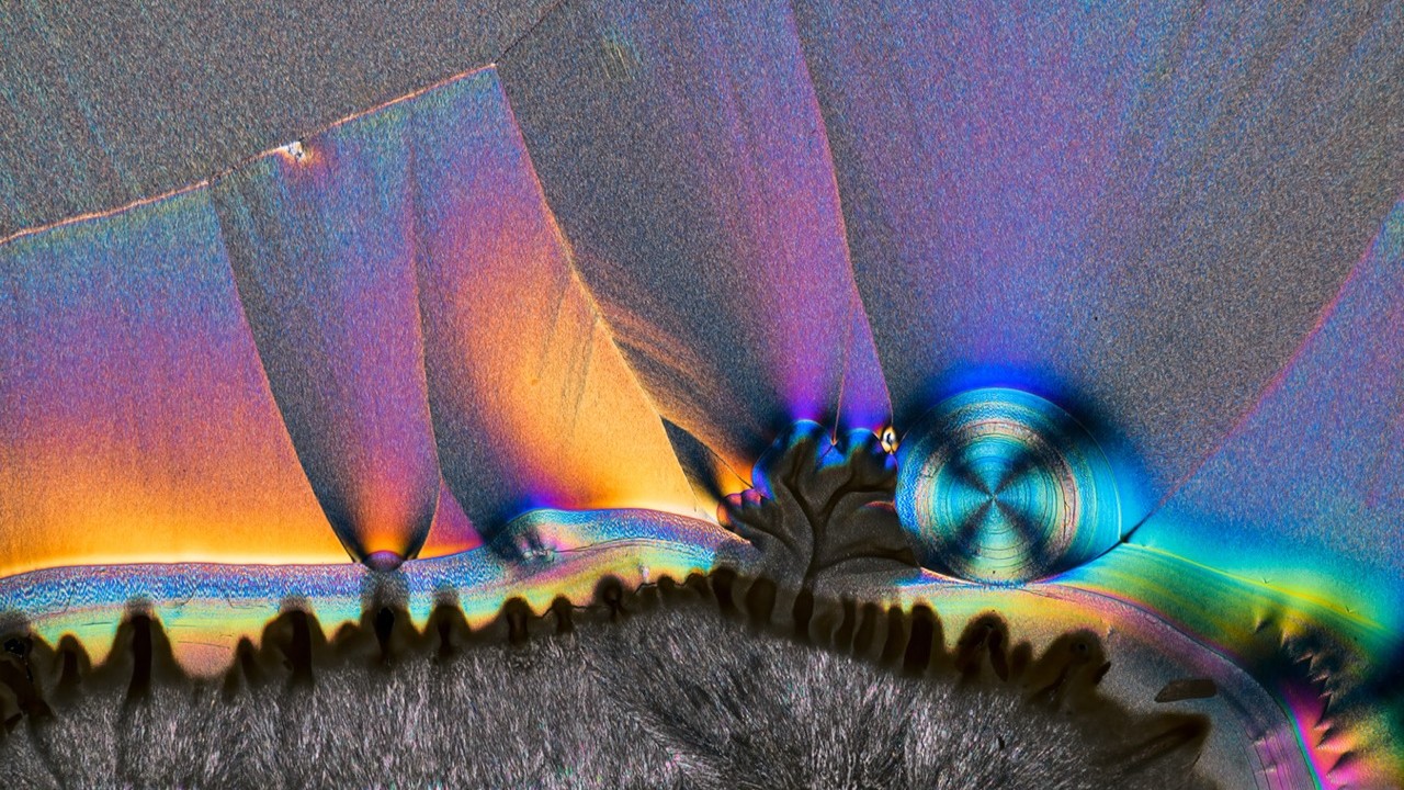 ضمن معرض “البلورات الراقصة“ لراشد السميطي.