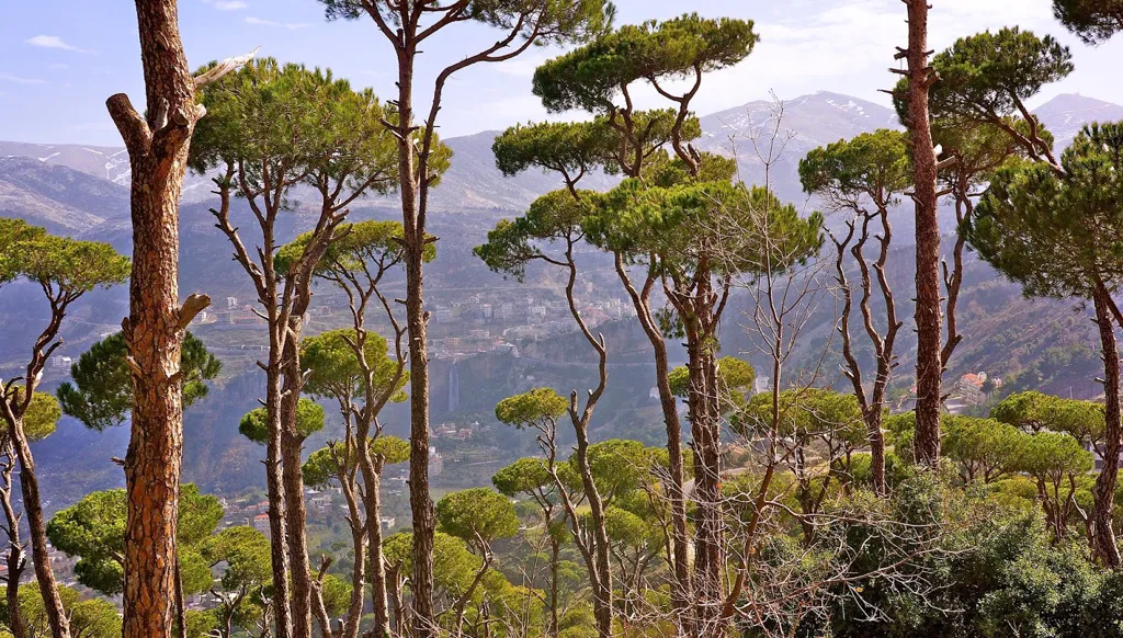 إلى وطني الذي لا يُشبه إلا نفسه… لبنان