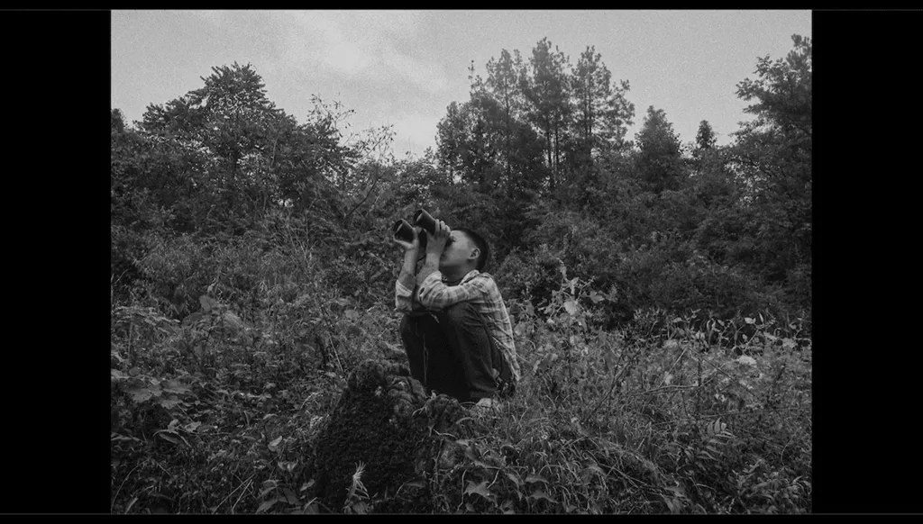 سينما الذاكرة والغياب: من "دوماً" إلى "الحياة بعد سهام"