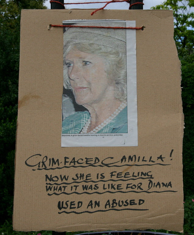 كاميلا (أ ف ب)