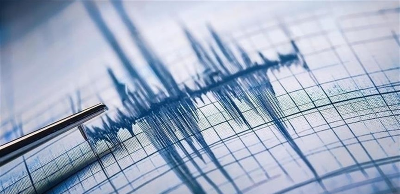 جهاز رصد الزلازل (مواقع)