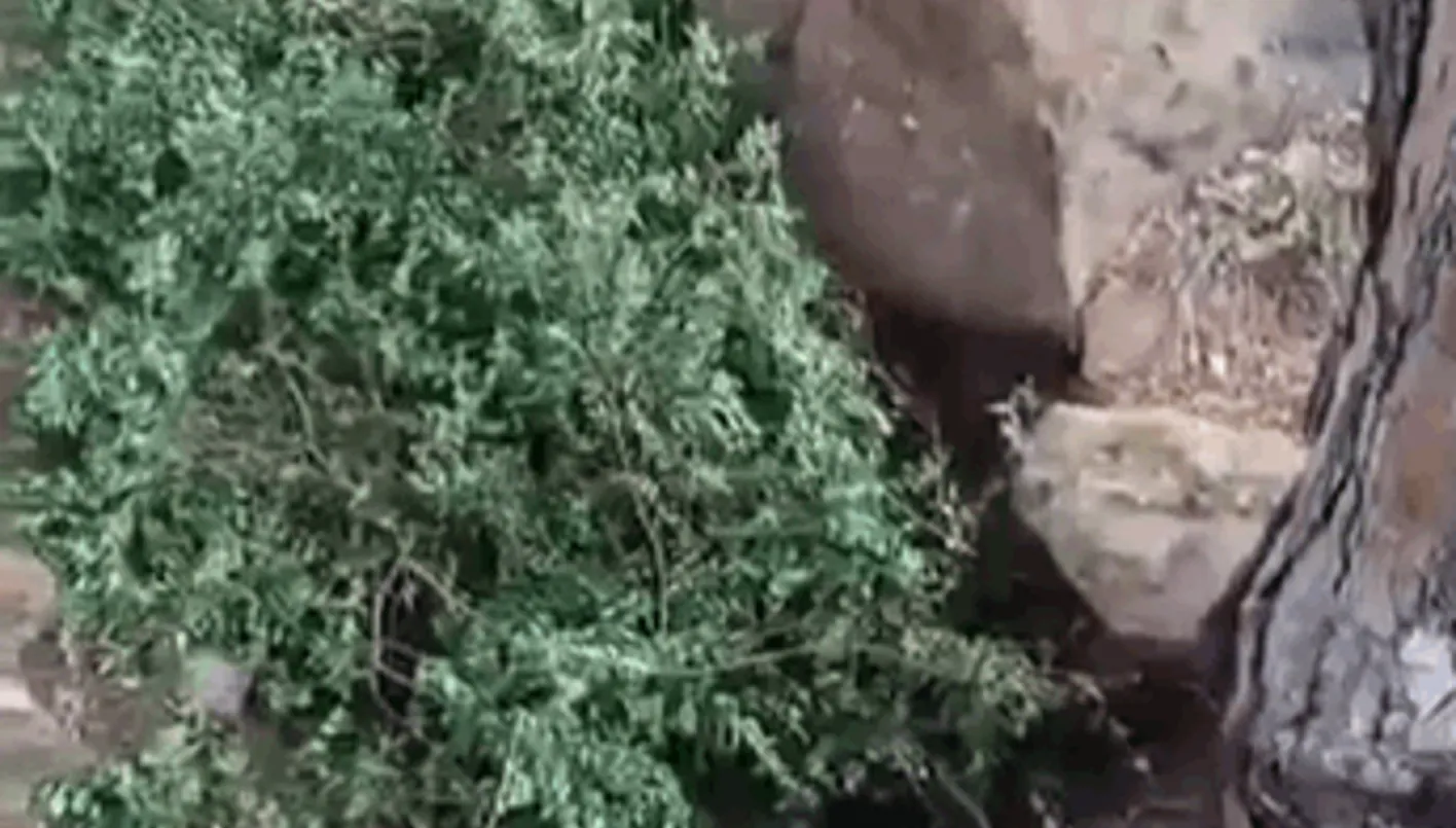 معلومات عن العثور على نفق في منطقة المتن... ما أبرز المعطيات حتى الآن؟