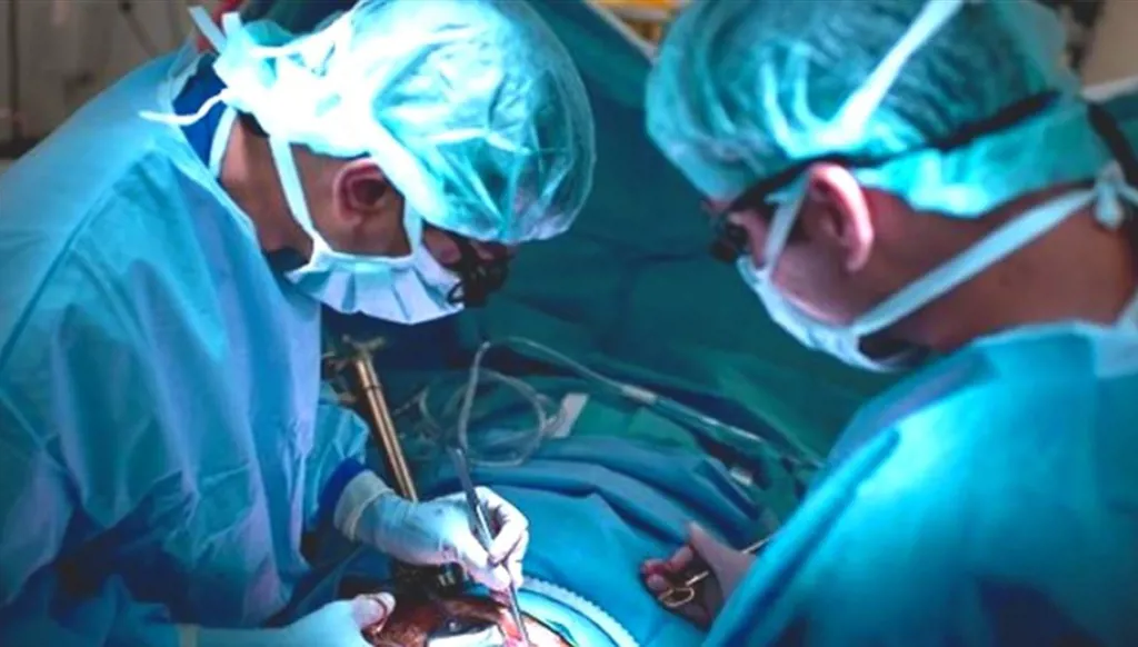 ثمن الكلية 2 مليون دولار... تركيا تلقي القبض على عصابة اتجار بالأعضاء