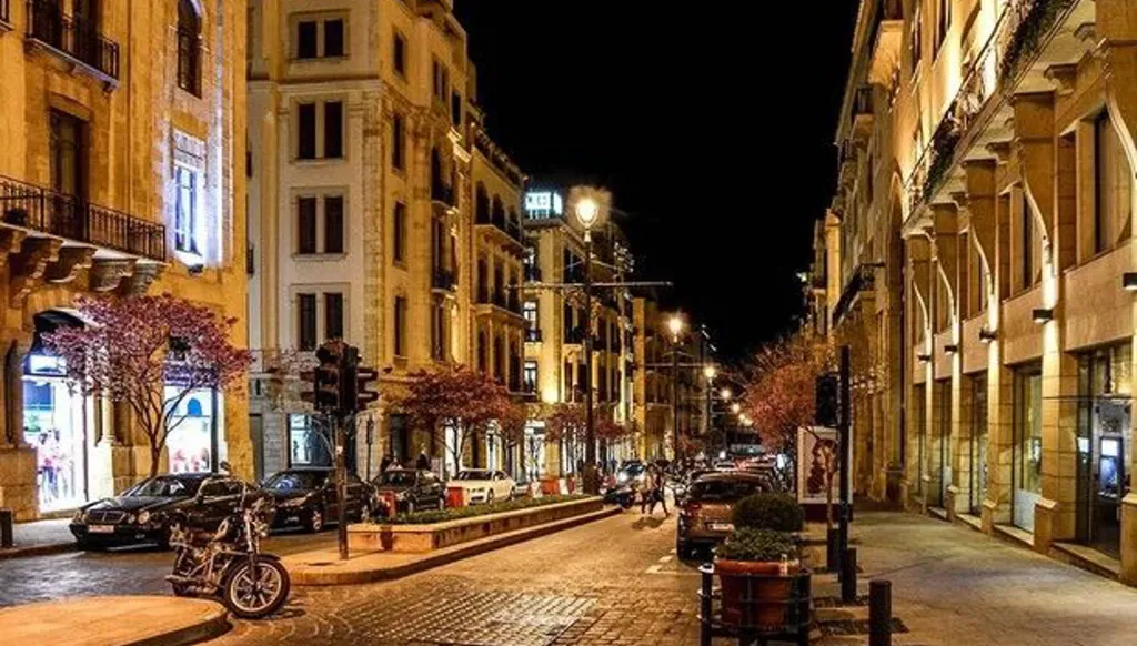 كلاب شاردة في وسط بيروت