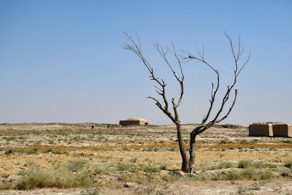 Environmental impact of AI. (AFP)