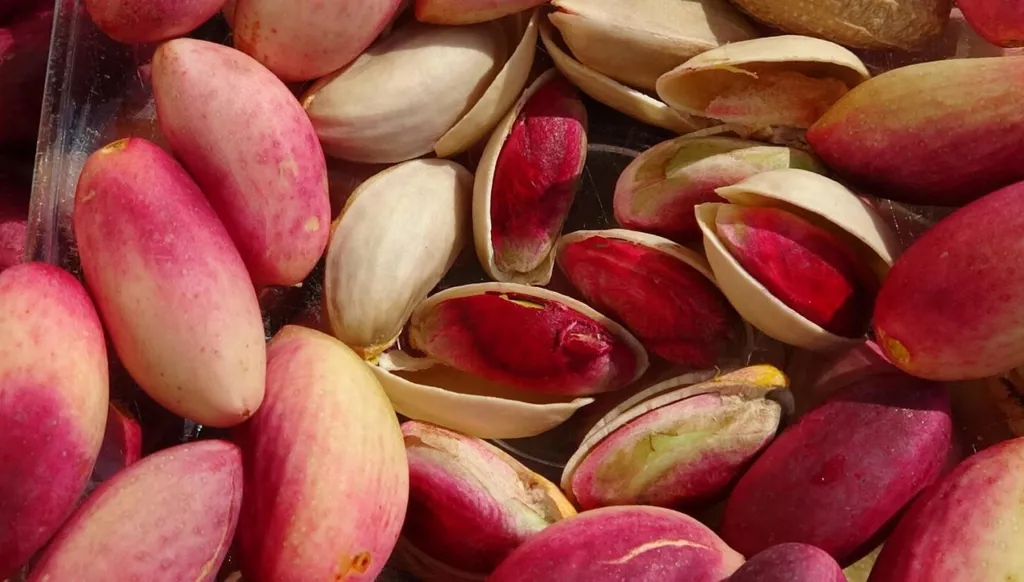 1200 صندوق من الفستق الحلبي المهرّب من سوريا الى لبنان وبفواتير مزوّرة!