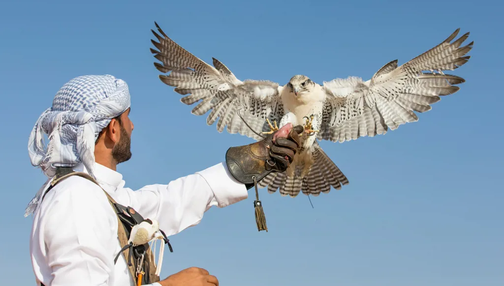 الرياضة في الإمارات بين الماضي والحاضر (فيديو)