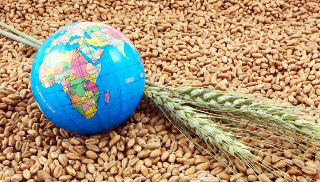 Food security at risk: Fertilizer markets shake under Middle East tensions