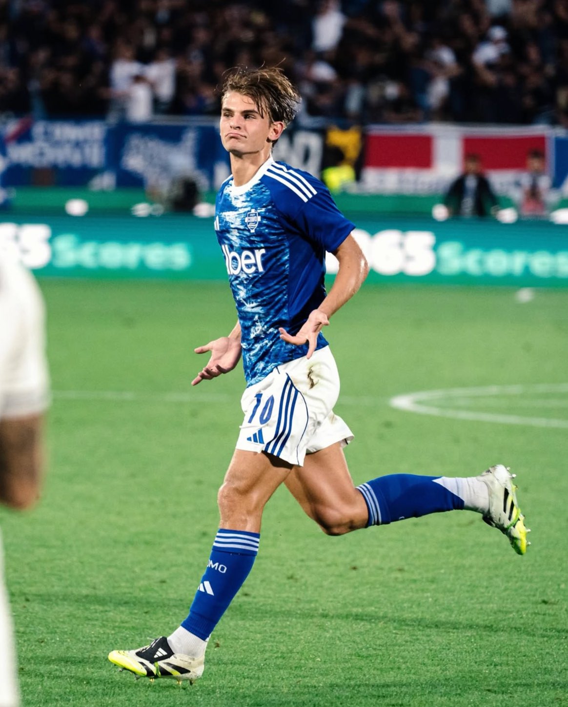 نيكو باز. (وكالات)