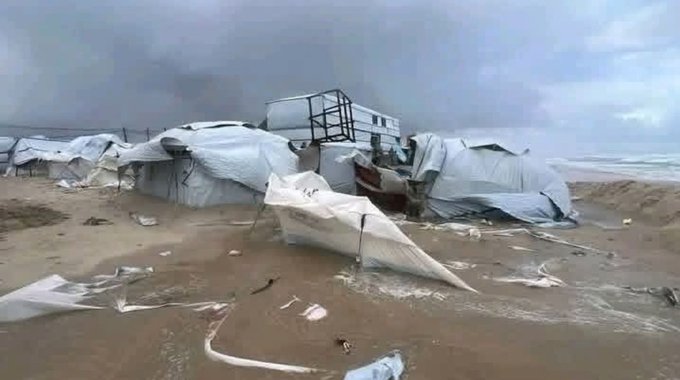 المخيمات في غزة (متداول عبر مواقع التواصل).