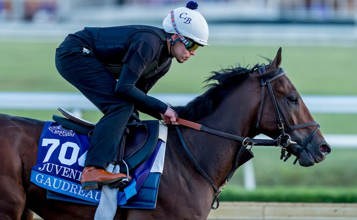 من كأس المربين العالمية للخيول. (Breeders’ Cup)