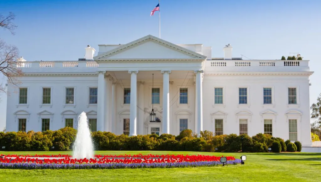 "فهمكم كفاية"