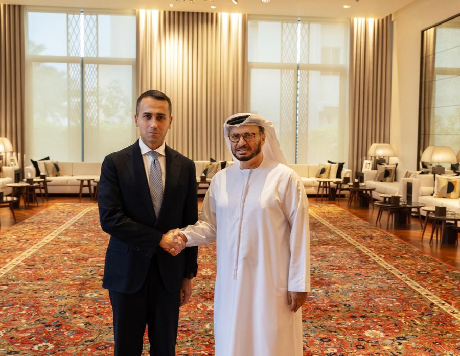 قرقاش والممثل الخاص للاتحاد الأوروبي لمنطقة الخليج