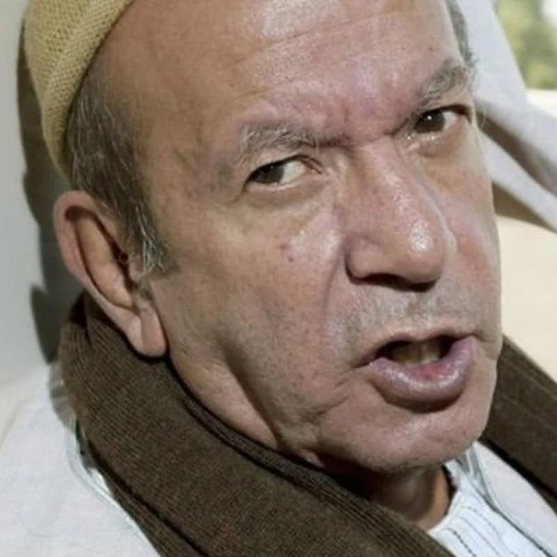 لطفي لبيب (من إنستغرام).