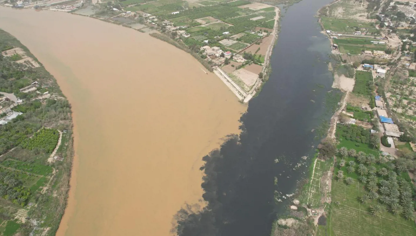 تتفاقم خطورة المشهد مع تسجيل نفوق آلاف الأطنان من الأسماك على امتداد مقاطع من النهر، في ظاهرة تعكس حجم الاختلال البيئي الحاصل.