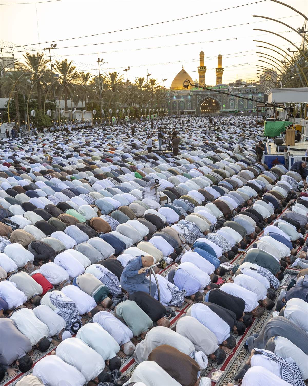 Karbala city (X).