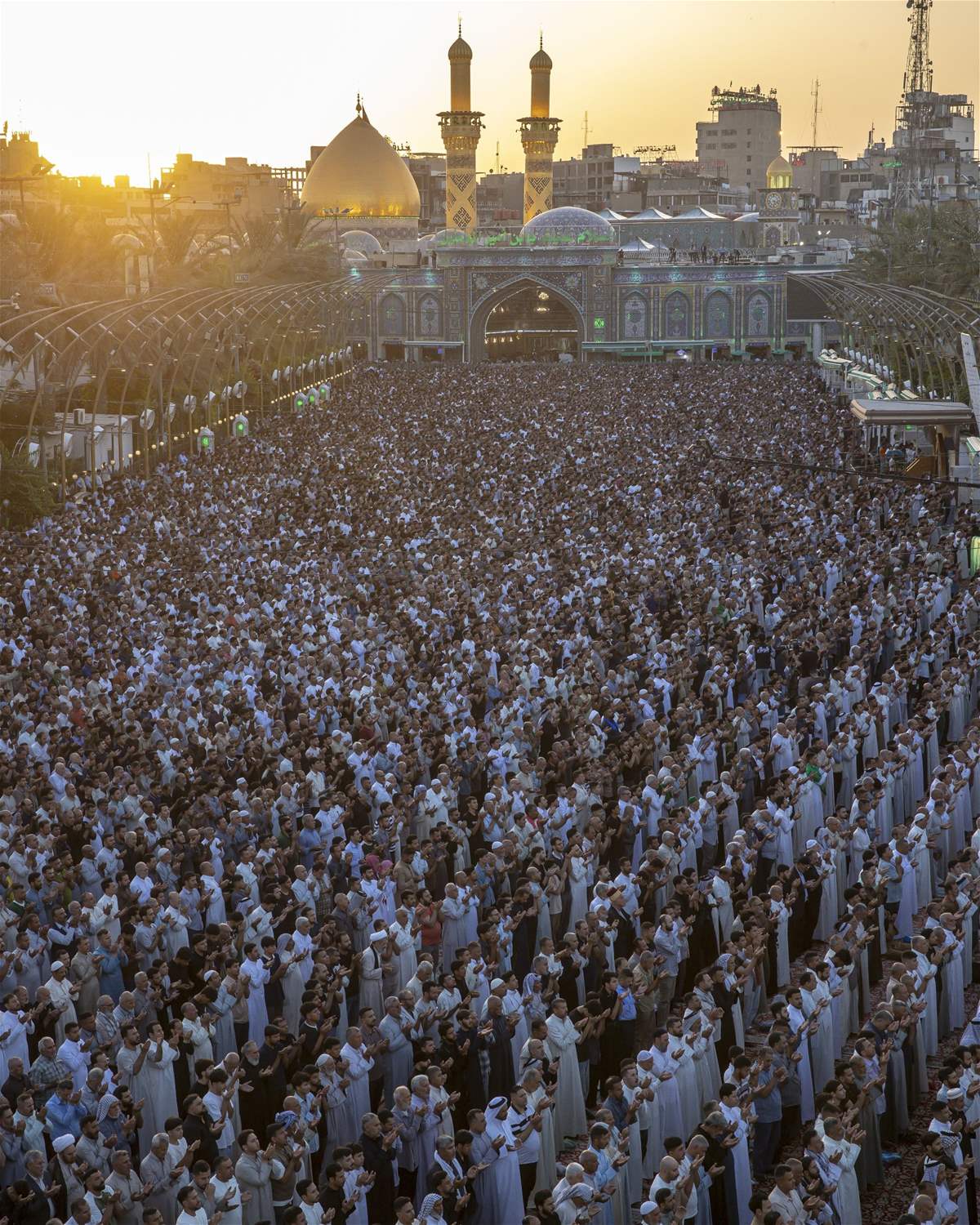 Karbala city (X).