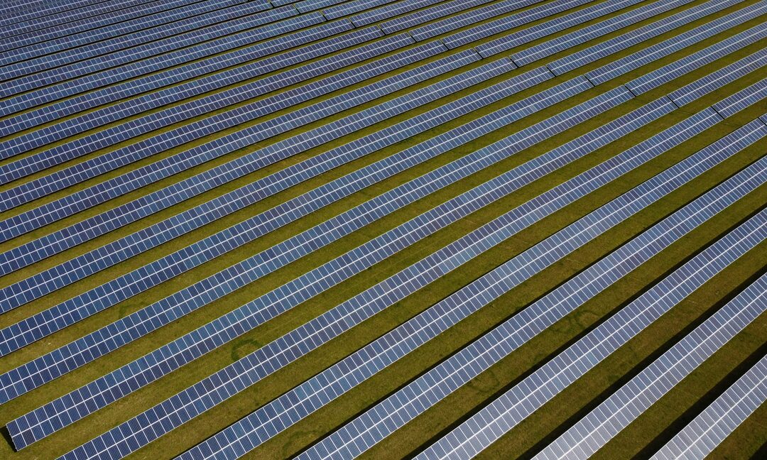 حقل من الألواح الشمسية بالقرب من رويستون، بريطانيا (رويترز)