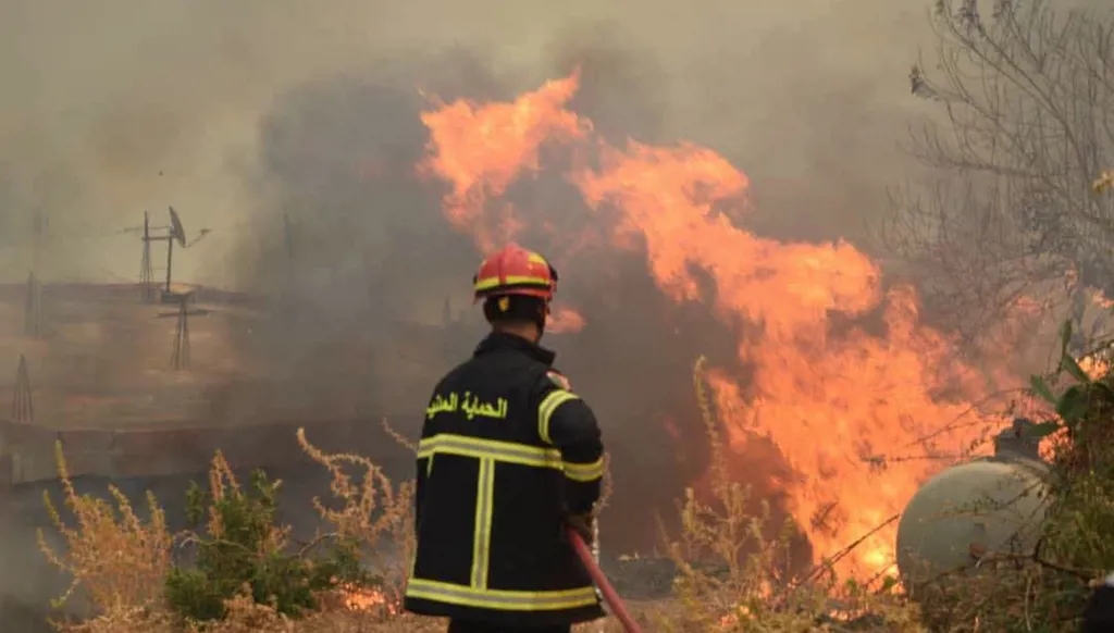 الجزائر... مقتل 12 شخصاً جراء الحرائق في عدة ولايات (صور)