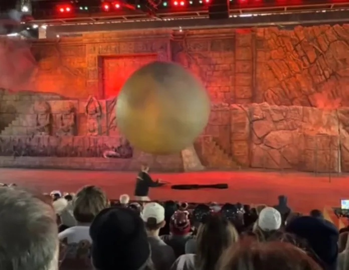 HeroicDisneyCastMemberInjuredSavingGuest