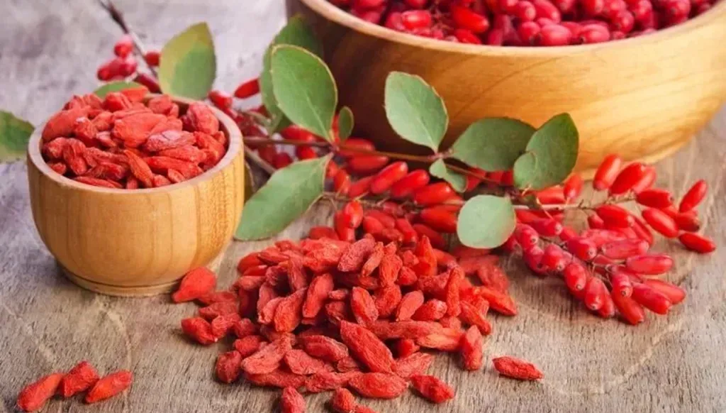 هل البربرين فعلاً من بدائل أوزمبيك لخفض الوزن؟