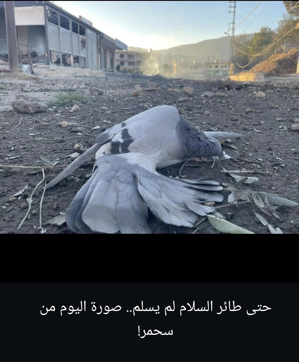 نيران إسرائيل و