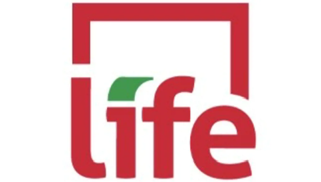 منظمة LIFE تُخرّج دفعة جديدة من الطلاب: تمكين شباب لبنان للانطلاق نحو سوق العمل