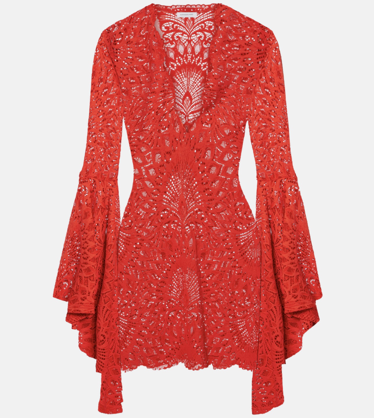 فستان من الدانتيل الأحمر من ألكسندرا ميرو (Web)