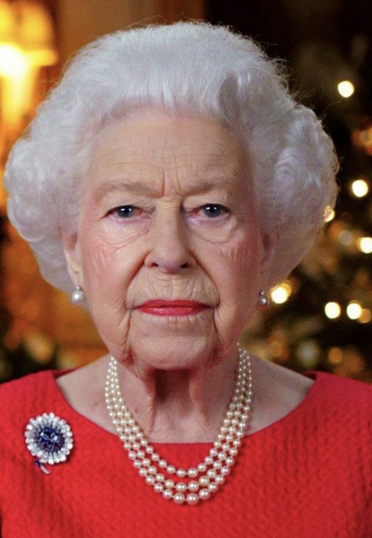 بروش الأقحوان (Pinterest)