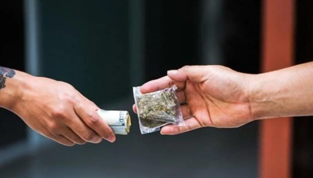 كمين في بيروت يطيح بمروّجي مخدّرات ويضبط كميات كبيرة من السالفيا