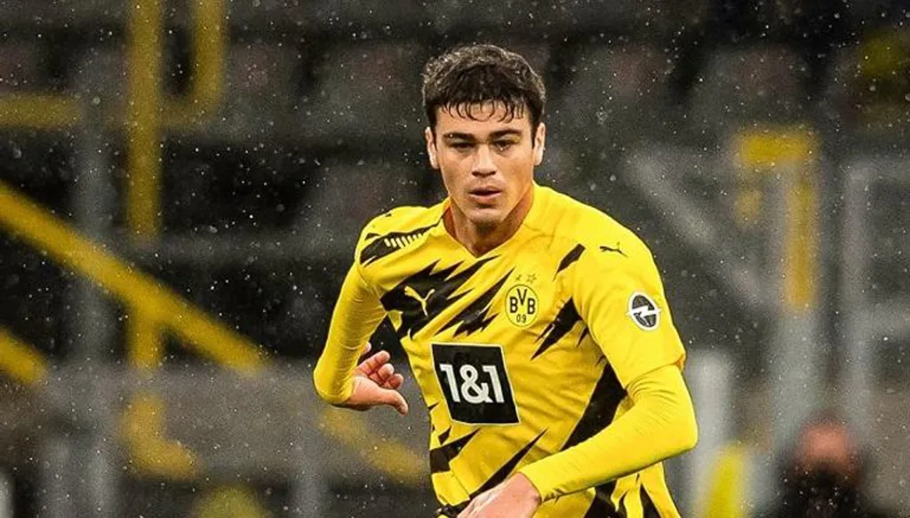 مونشنغلادباخ يضم رينا من دورتموند
