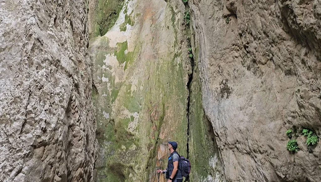 على درب جبل عروبة أعلى قمم عكار... ثروة بيئية وطبيعية نادرة (فيديو)