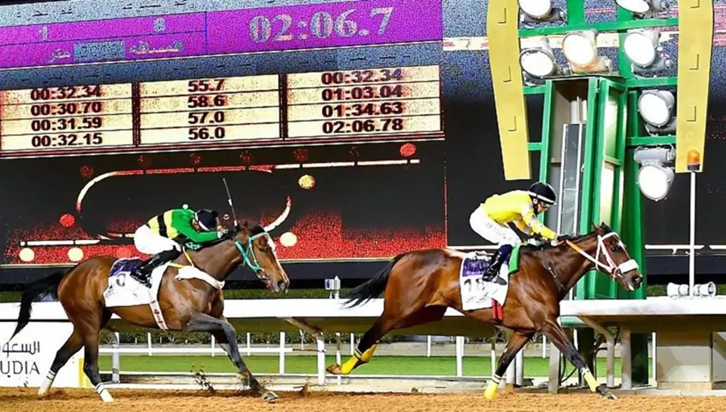 الاستعداد لأمسية الحفل السنوي الكبير لسباقات الخيل في السعودية