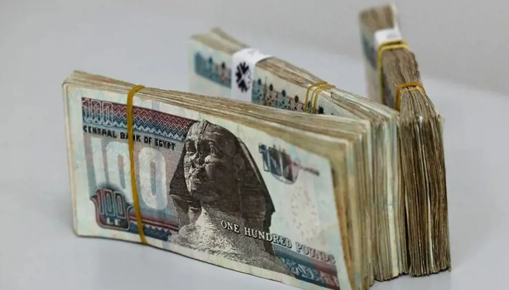 الدولار يسجل مستوى قياسياً أمام الجنيه المصري... الأسباب وفرص الاستقرار