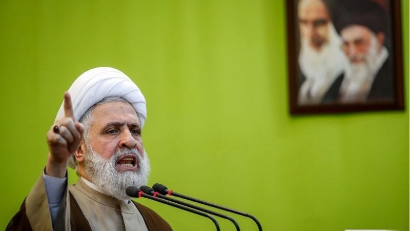 نعيم قاسم منددا بالعدوان (وكالات)