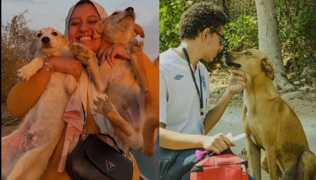 "الكلبجيّة" بمواجهة الفوبيا: تحدّي الكلاب الضّالة في مصر