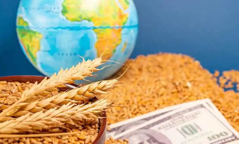 الأمن الغذائي (أرشيفية).