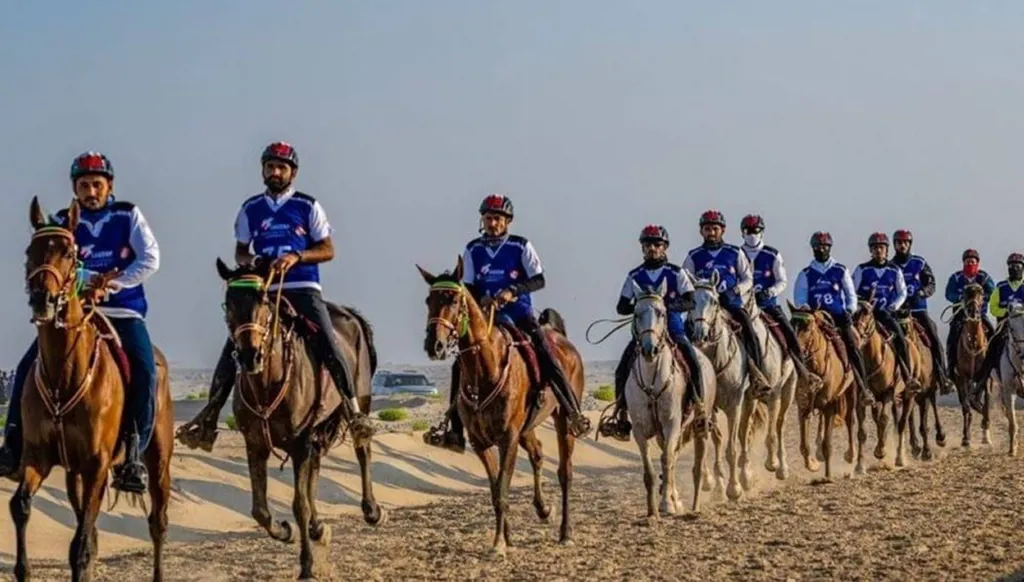 من الإمارات والسويد إلى بريطانيا... الذكاء الاصطناعي يراقب صحة الخيول