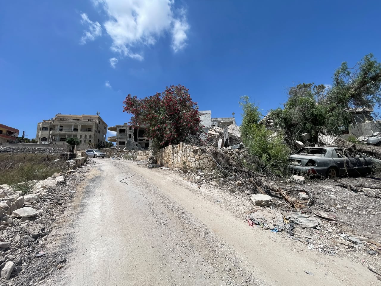 الطريق إلى بلدة زوطر الغربية من جهة قعقعية الجسر الطرقات مجروفة والمنازل مدمّرة (أحمد منتش)