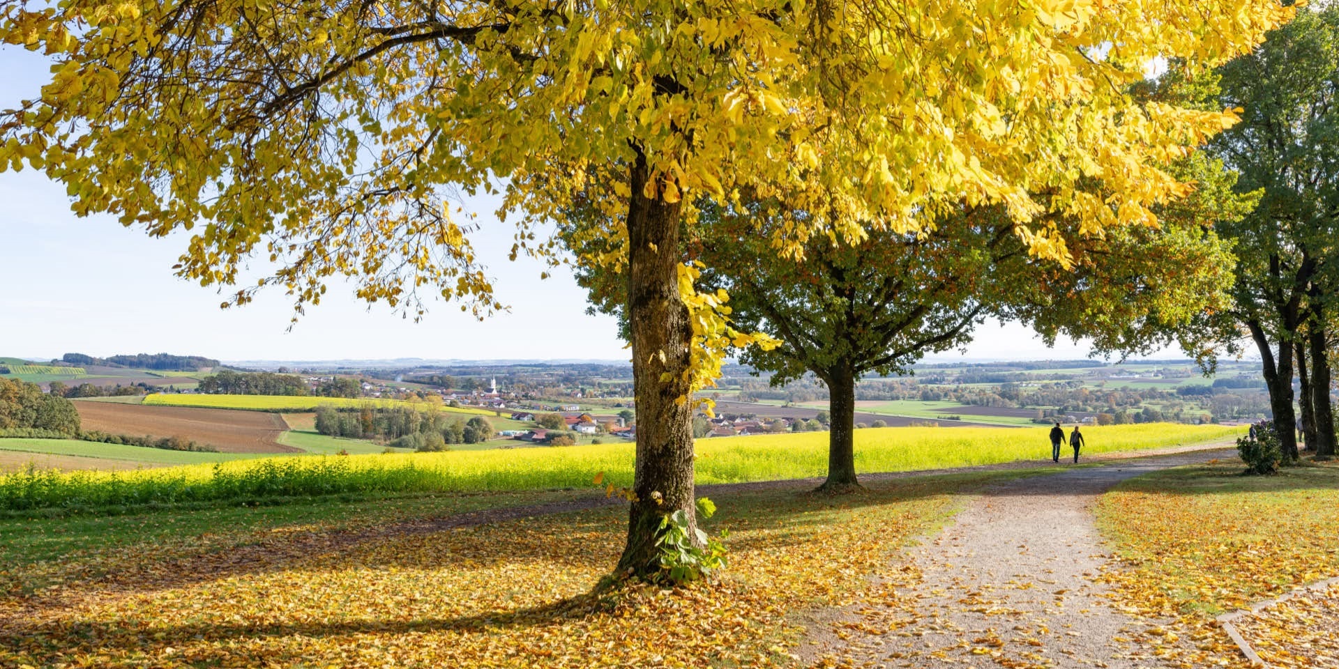 الطريق من ميونيخ... سيمفونية طبيعية تقود إلى بوابة السكينة (الانترنت)