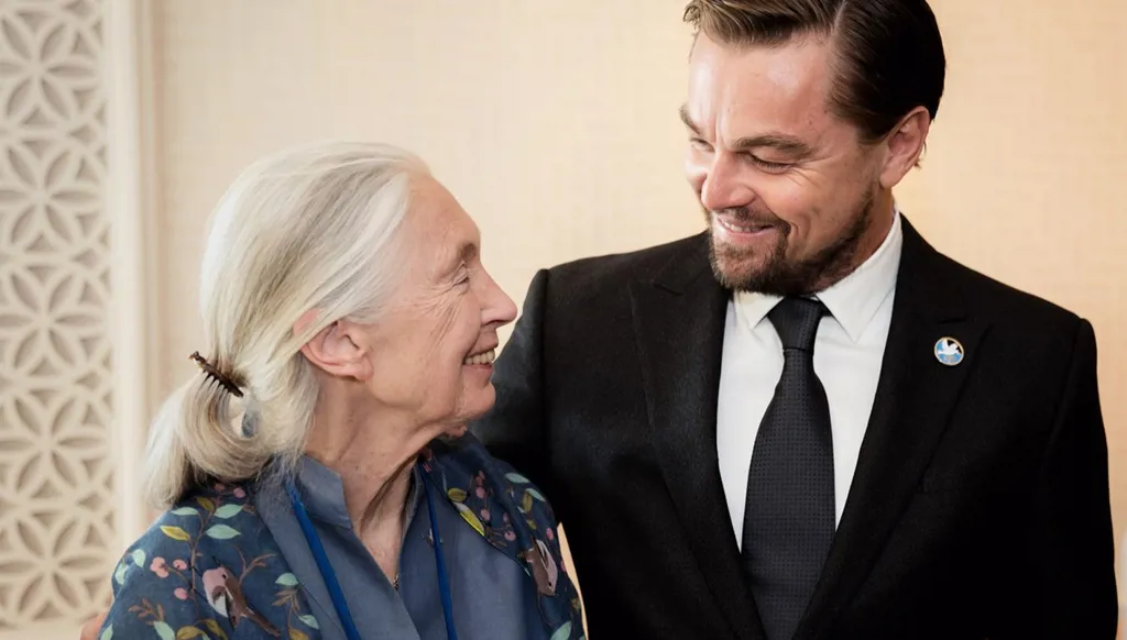 ليوناردو دي كابريو يودّع الباحثة التي غيّرت نظرة البشر إلى الشمبانزي