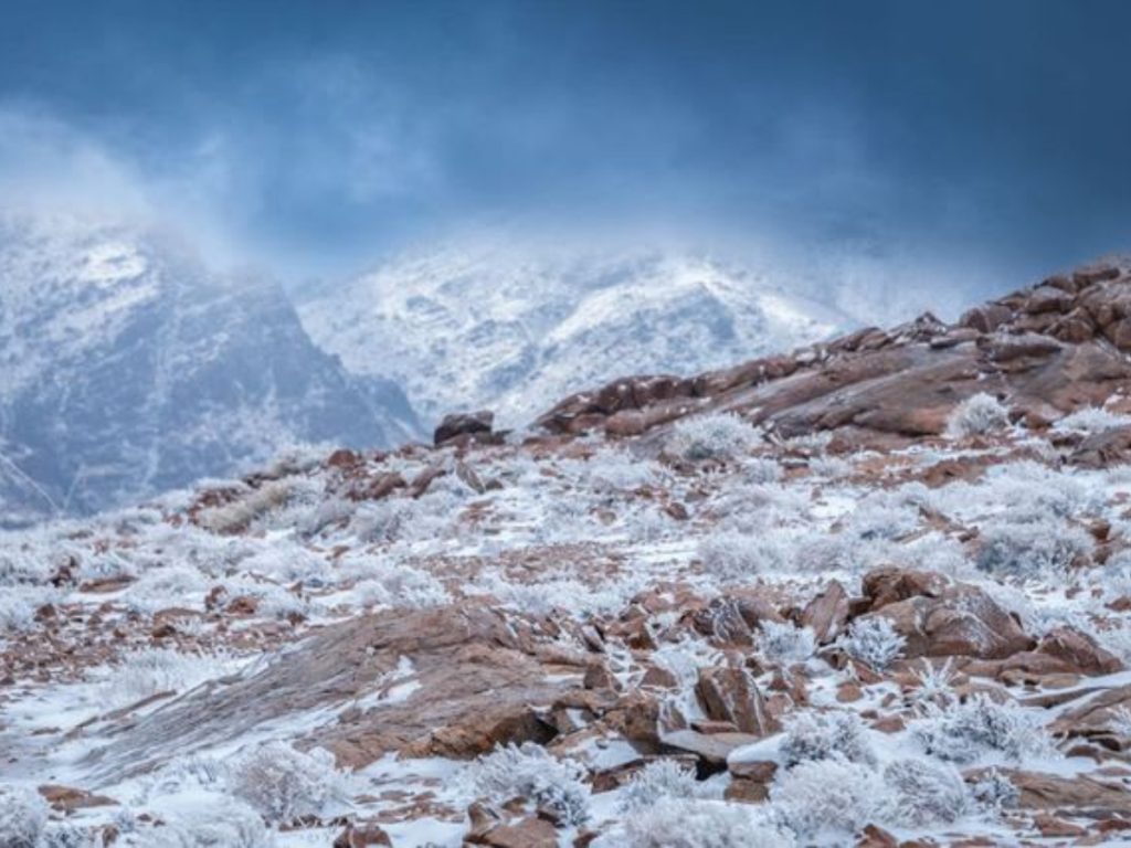 وادي الديسة (غوغل).