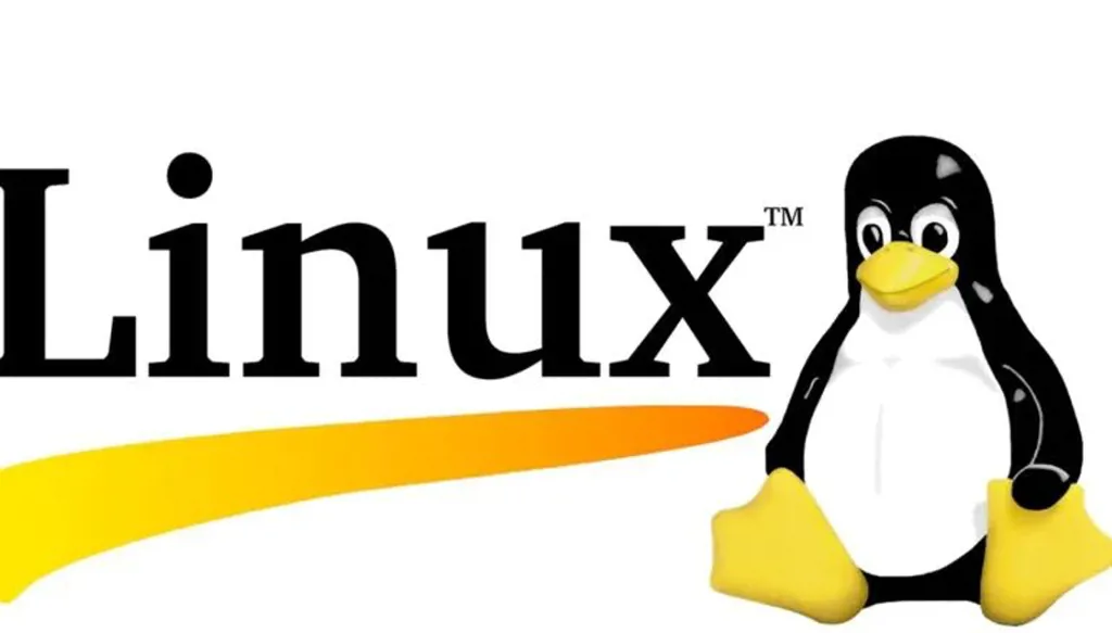 قرار تقني بطابع سيادي: فرنسا تعيد بناء نظامها الرقمي خارج مظلة "ويندوز"