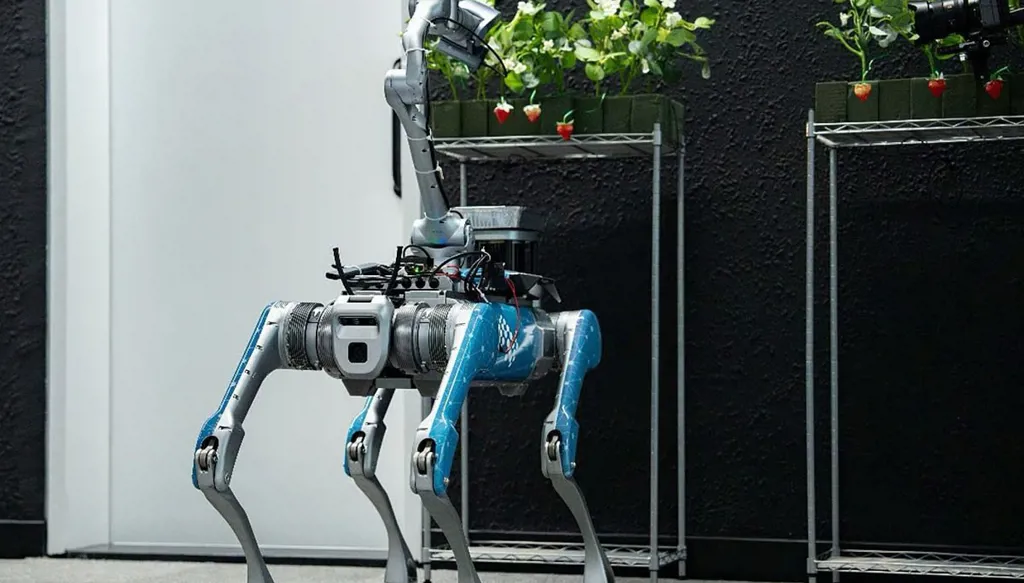 روبوت الذكاء الاصطناعي المصنوع في الإمارات يقطف الفراولة الناضجة بكفاءة تفوق البشر