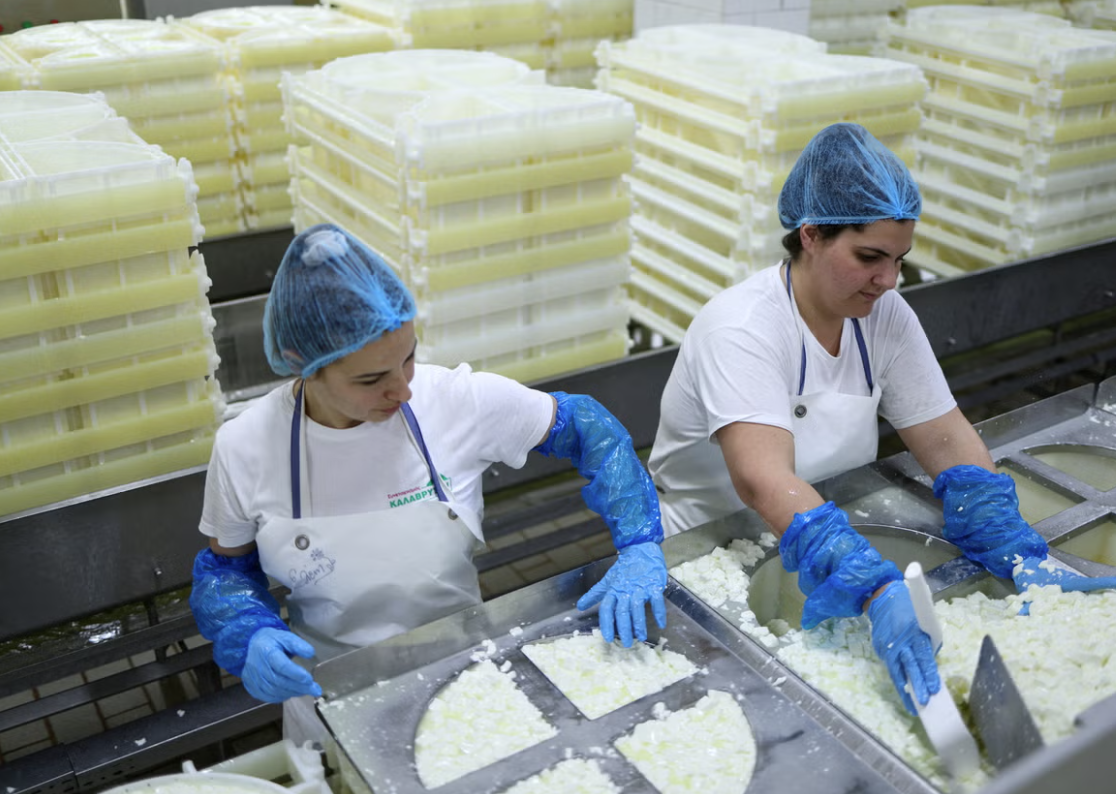 مصنع لتصنيع الأجبان في تركيا (وكالات)